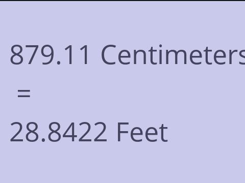 879.11 CM TO FEET