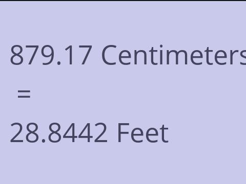 879.17 CM TO FEET