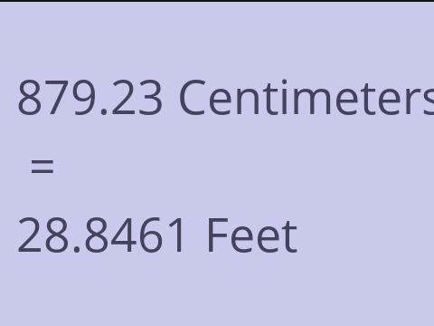 879.23 CM TO FEET