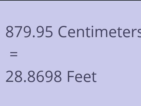 879.95 CM TO FEET