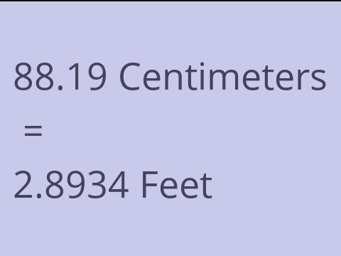 88.19 CM TO FEET