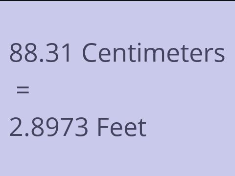 88.31 CM TO FEET