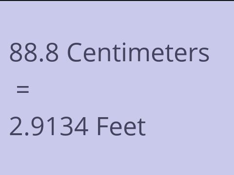 88.8 CM TO FEET