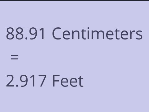 88.91 CM TO FEET