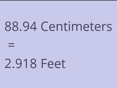 88.94 CM TO FEET