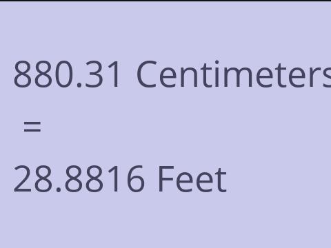 880.31 CM TO FEET