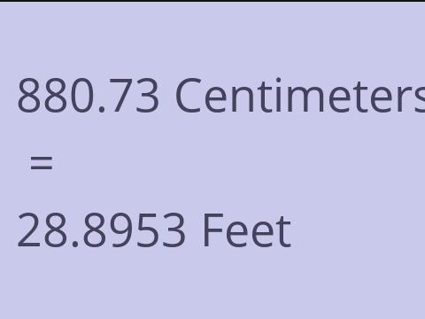 880.73 CM TO FEET