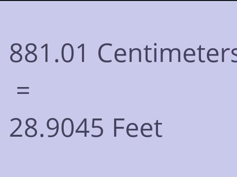 881.01 CM TO FEET