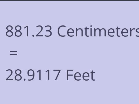 881.23 CM TO FEET