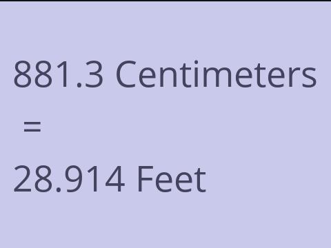 881.3 CM TO FEET