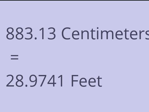 883.13 CM TO FEET