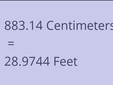 883.14 CM TO FEET