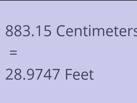 883.15 CM TO FEET