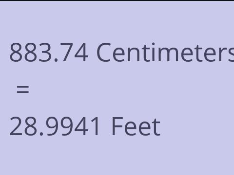 883.74 CM TO FEET