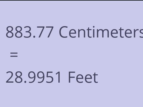 883.77 CM TO FEET