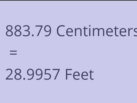 883.79 CM TO FEET