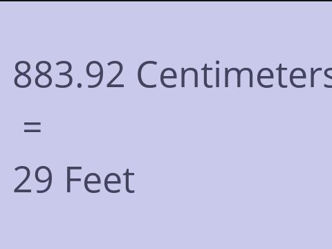 883.92 CM TO FEET