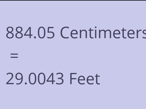 884.05 CM TO FEET