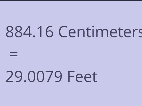 884.16 CM TO FEET