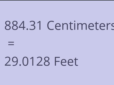 884.31 CM TO FEET