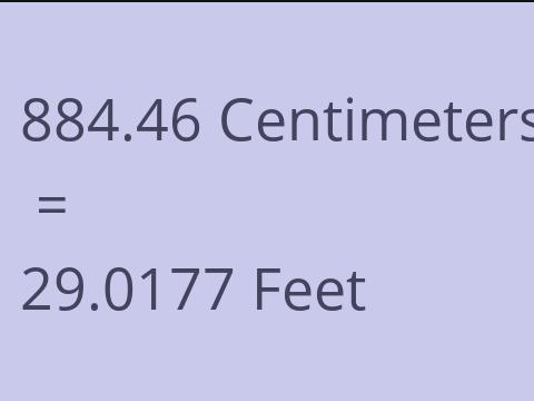 884.46 CM TO FEET