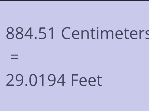 884.51 CM TO FEET