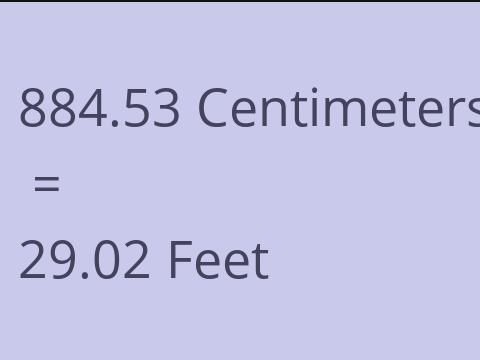 884.53 CM TO FEET