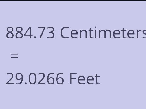 884.73 CM TO FEET