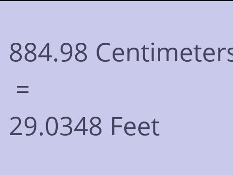 884.98 CM TO FEET