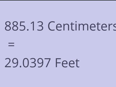 885.13 CM TO FEET