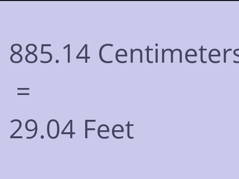 885.14 CM TO FEET