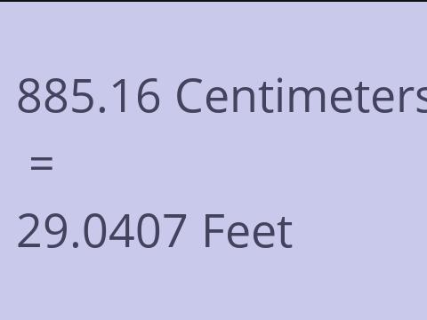 885.16 CM TO FEET