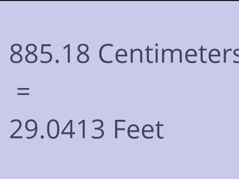 885.18 CM TO FEET