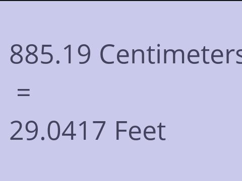 885.19 CM TO FEET