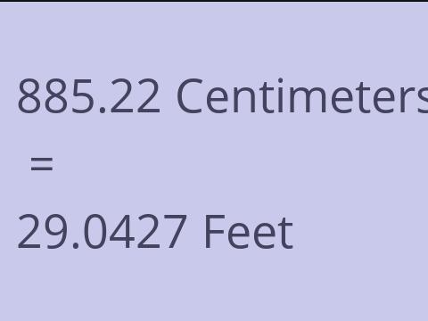 885.22 CM TO FEET