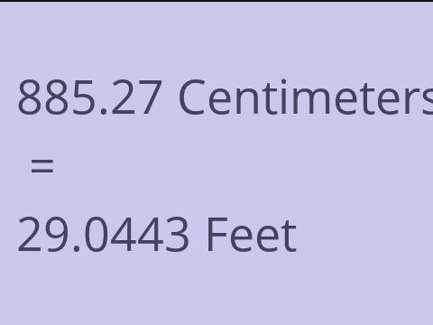 885.27 CM TO FEET