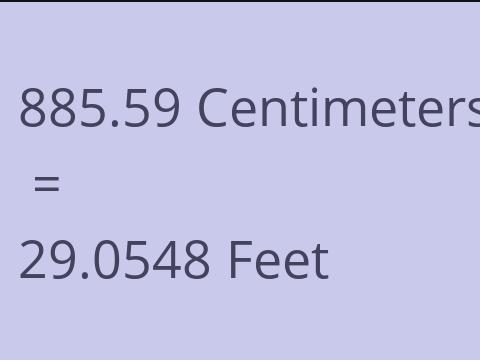 885.59 CM TO FEET