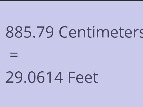 885.79 CM TO FEET