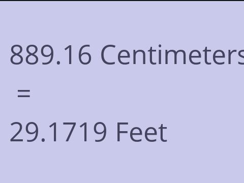 889.16 CM TO FEET