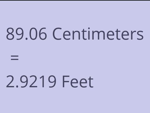 89.06 CM TO FEET