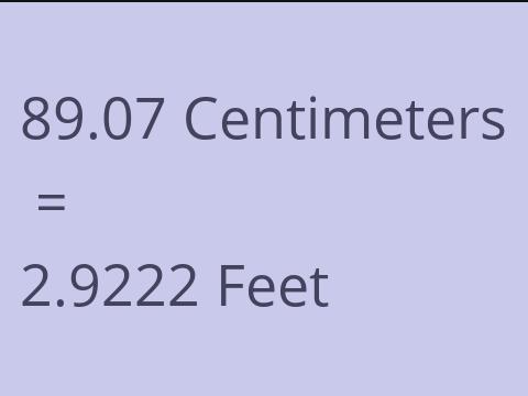 89.07 CM TO FEET