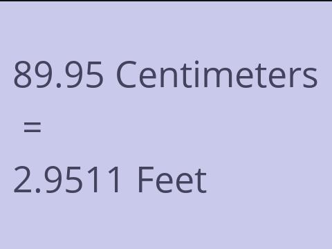 89.95 CM TO FEET