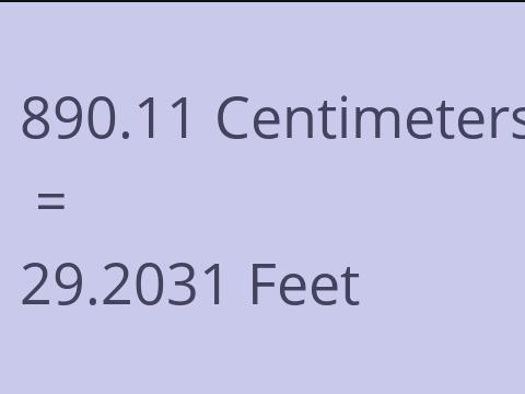 890.11 CM TO FEET