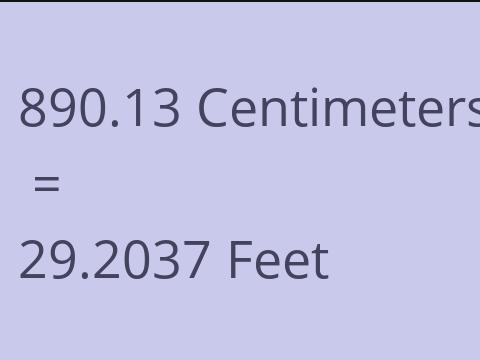 890.13 CM TO FEET