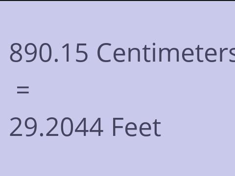 890.15 CM TO FEET