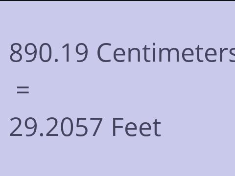 890.19 CM TO FEET