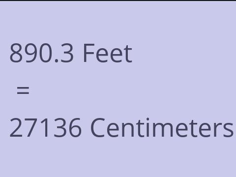 890.3 FEET TO CM