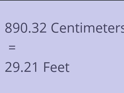 890.32 CM TO FEET