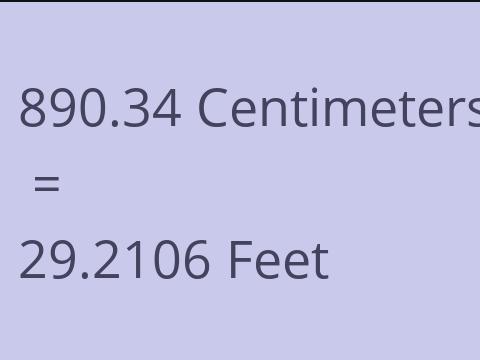 890.34 CM TO FEET