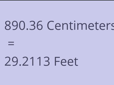 890.36 CM TO FEET